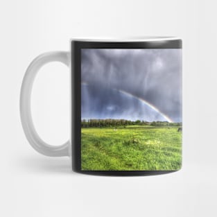 Harlow Common Rainbow Mug